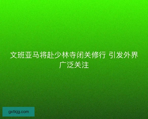 文班亚马将赴少林寺闭关修行 引发外界广泛关注