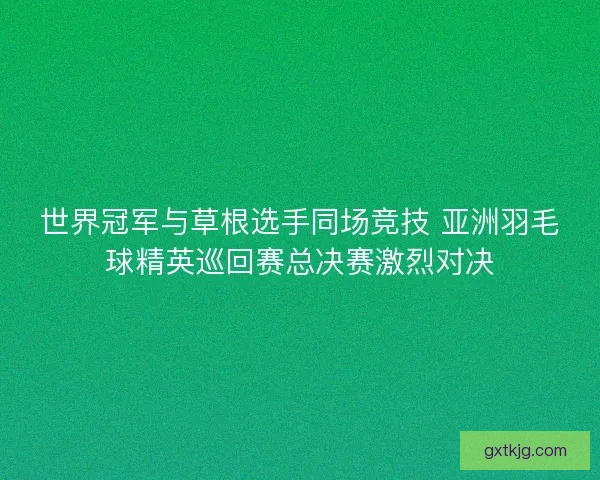 世界冠军与草根选手同场竞技 亚洲羽毛球精英巡回赛总决赛激烈对决