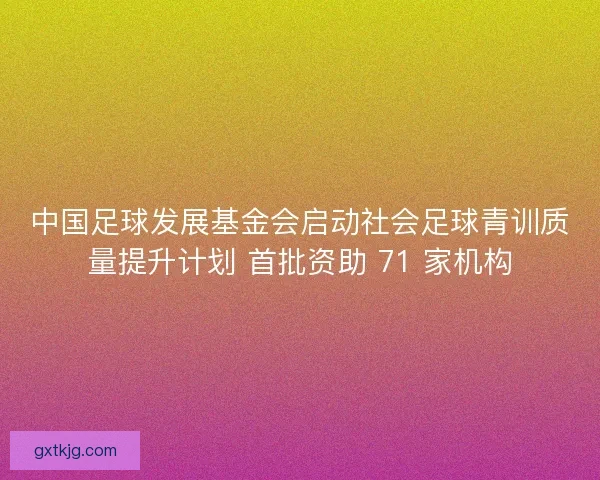 中国足球发展基金会启动社会足球青训质量提升计划 首批资助 71 家机构