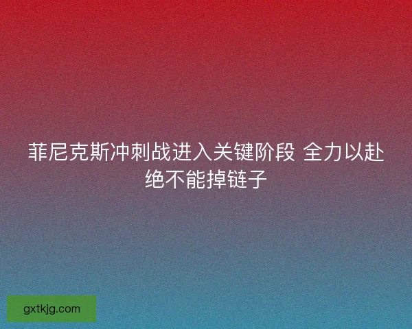 菲尼克斯冲刺战进入关键阶段 全力以赴绝不能掉链子