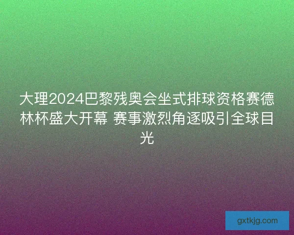 大理2024巴黎残奥会坐式排球资格赛德林杯盛大开幕 赛事激烈角逐吸引全球目光